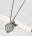 Серебряная подвеска с цепочкой Como mini с картой мира