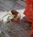 Кольцо Вьюнок с жемчугом