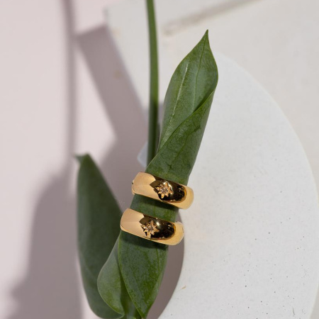 Серьги-кольца в позолоте (ALESSANDRIA)