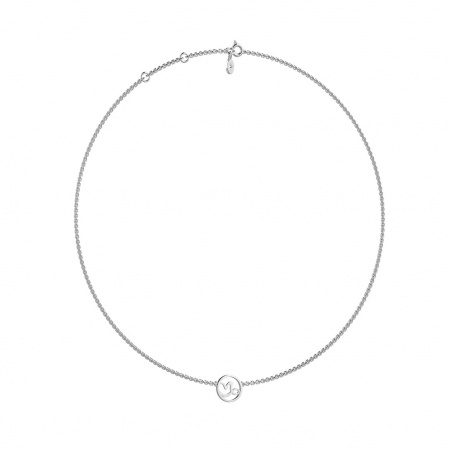 Подвеска знак зодиака Козерог