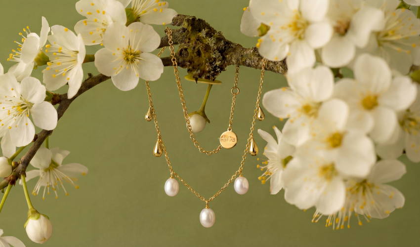 Расцветаем